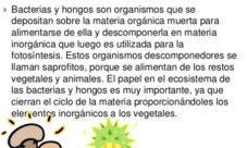 Función de los hongos en una cadena alimenticia